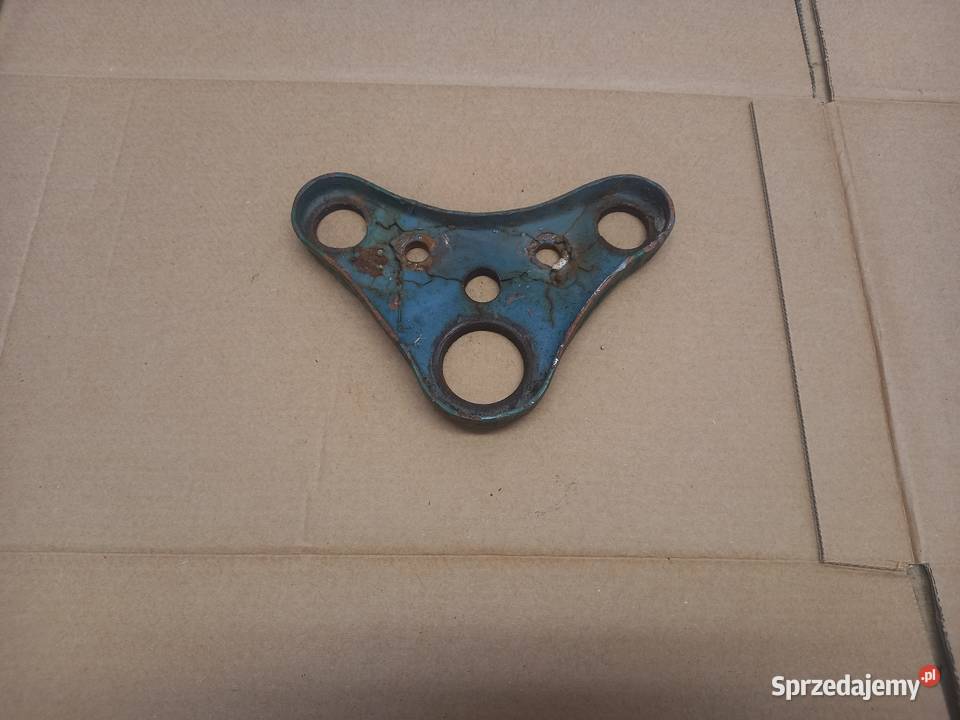 Polka zak ryś Sokołów Podlaski