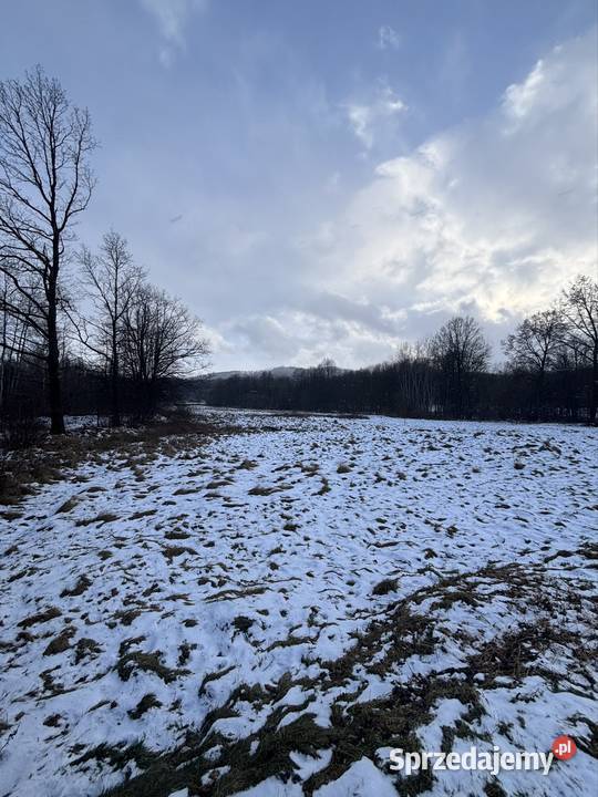 Na sprzedaż działki budowlane Jarnołtówek