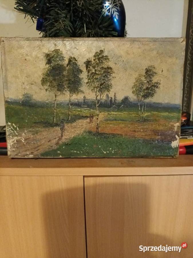 Wiejska droga na Śląsku Bielsko-Biała