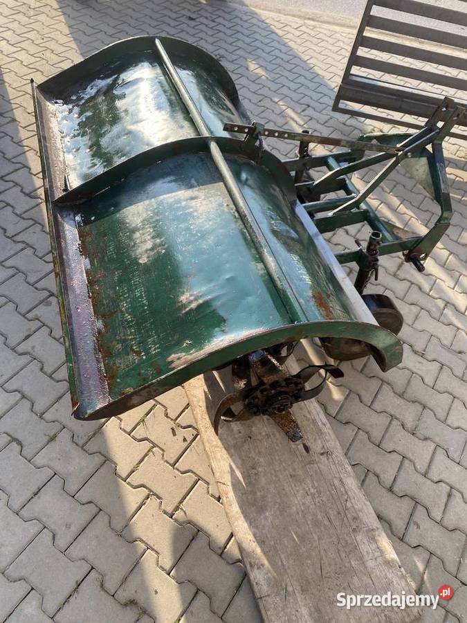 Glebogryzka Grudziądzka Lusławice