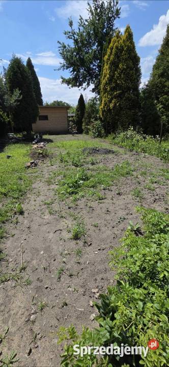 Wertykulacja Aeracja Piaskowanie Trawnika Tychy