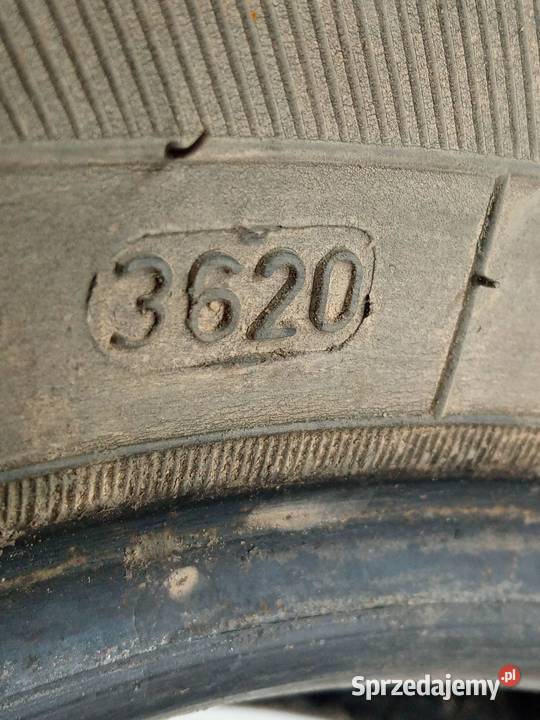 OPONA ZIMOWA DĘBICA FRIGO 2 17565R14 3620 581 świętokrzyskie