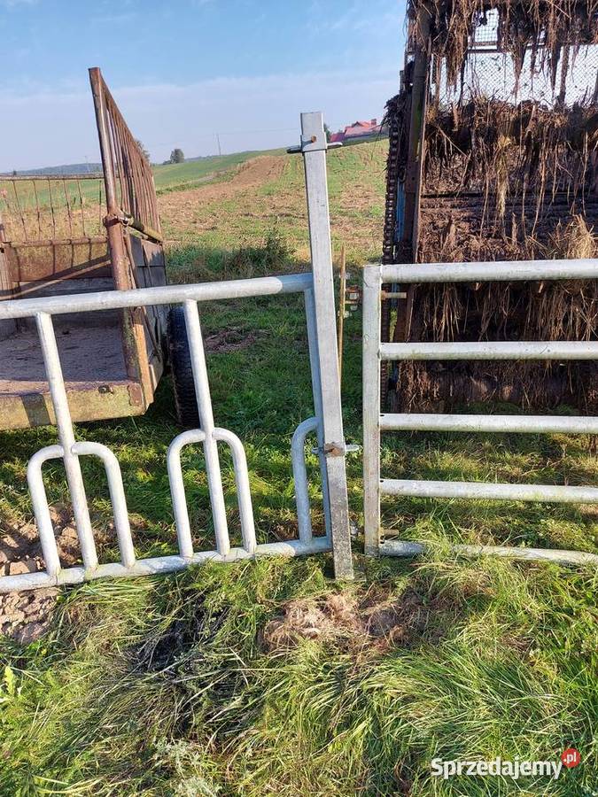 Wynagrodzenia bydla Bielawki sprzedam