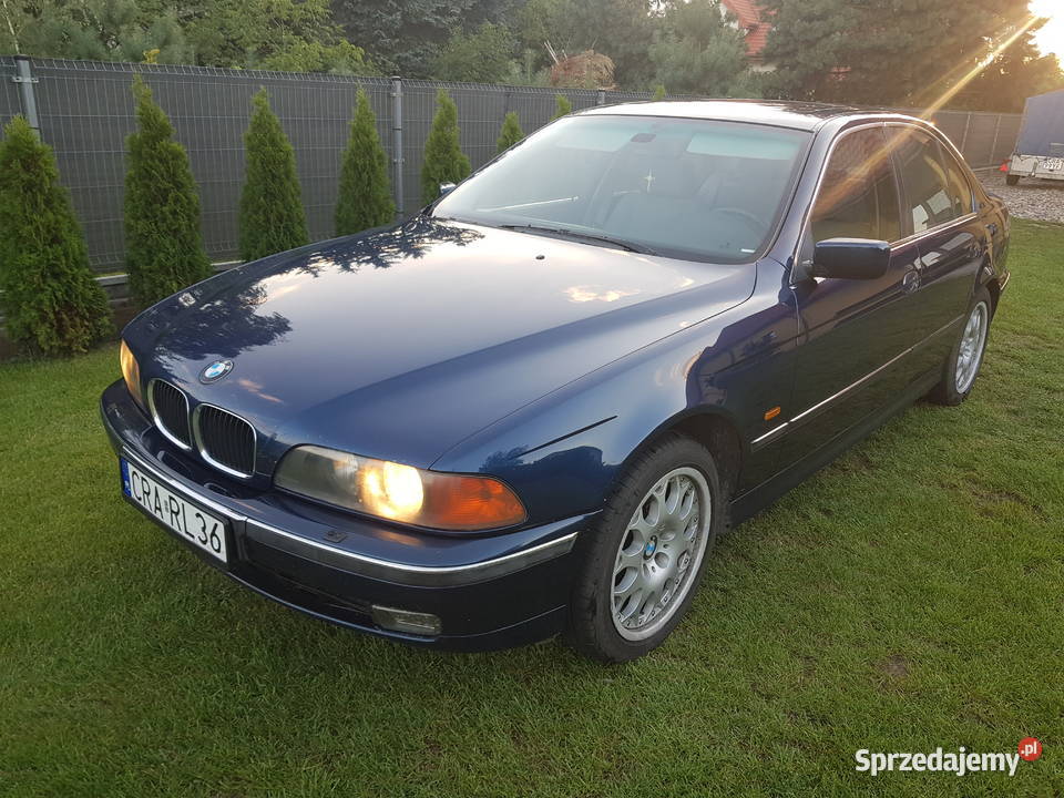 BMW E39 Lmuzyna
