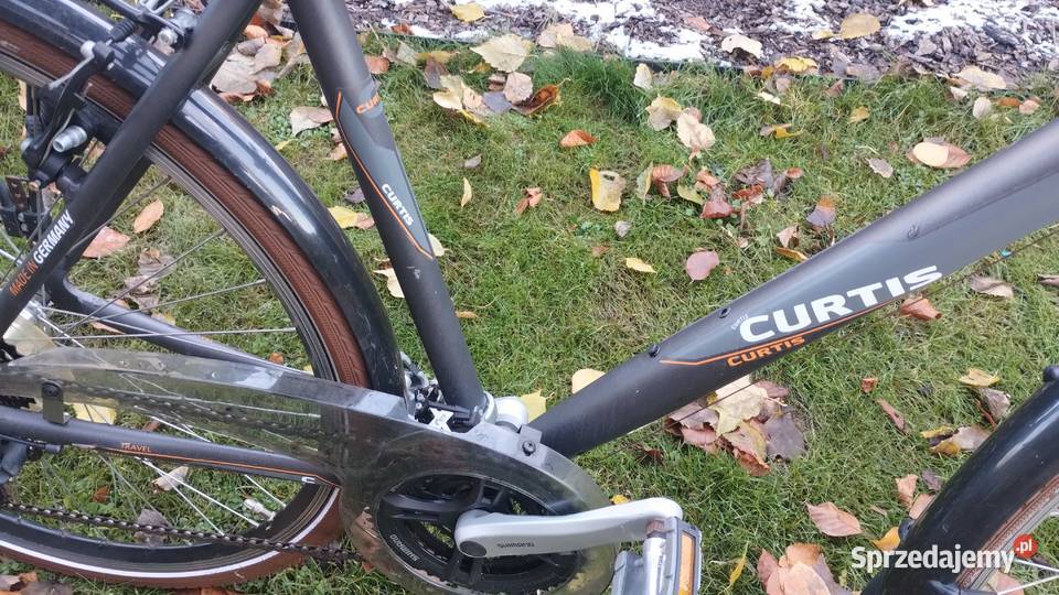 Curtis Rower trekingowy męski 28 Mikołów