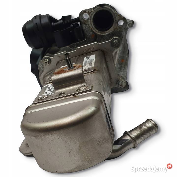 CHŁODNICA SPALIN EGR Ford Kuga 20 TDCI V29004027 lubelskie Chełm