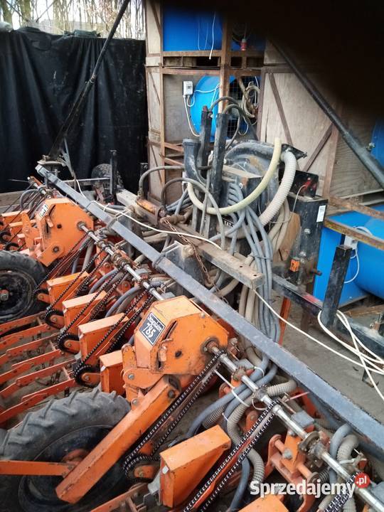 Siewnik do cebuli rzotkwi itd Nysa