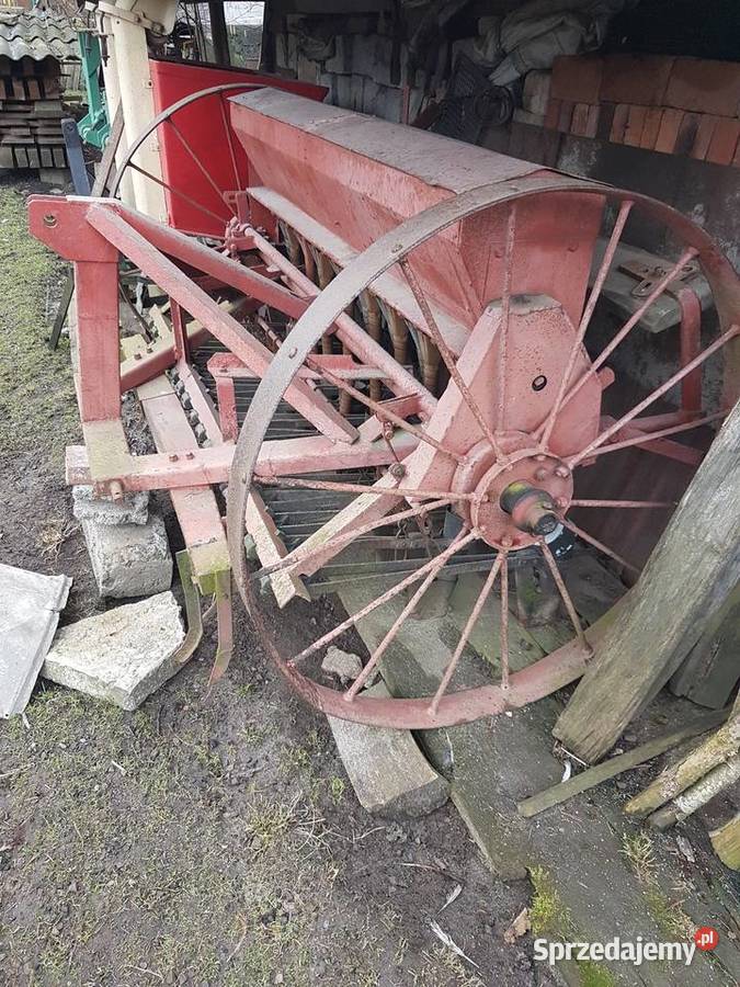 Siewniki nieuszkodzony świętokrzyskie Mójcza sprzedam