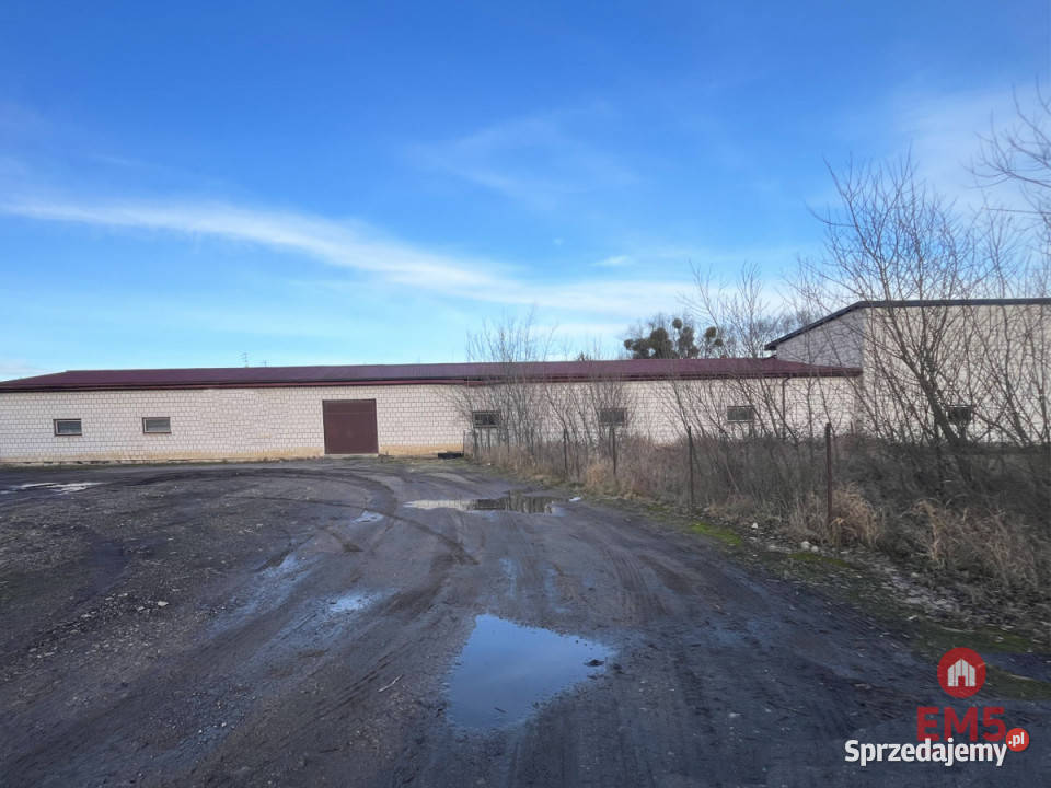 Lokal 520m2 Białystok