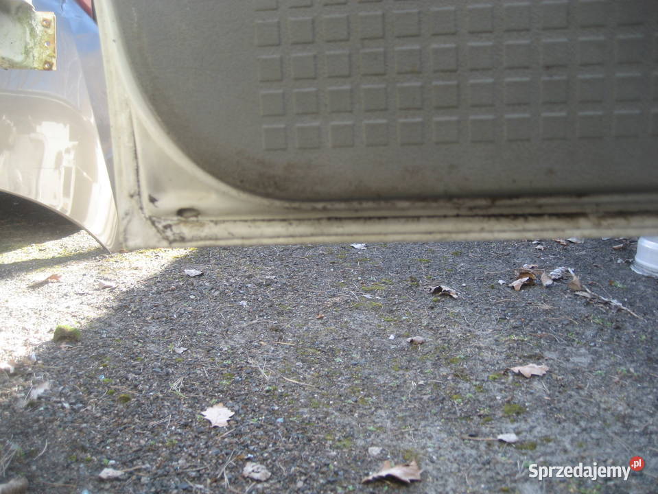 vw t4 9803r drzwi przód prawe białe wielkopolskie Rakoniewice