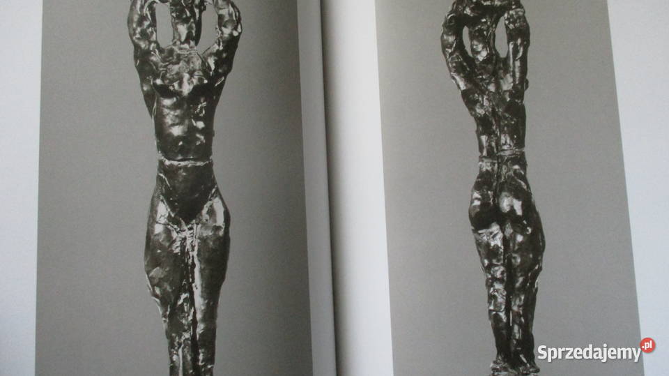 Henri Matisse album malarstwo rzeźba sztuka