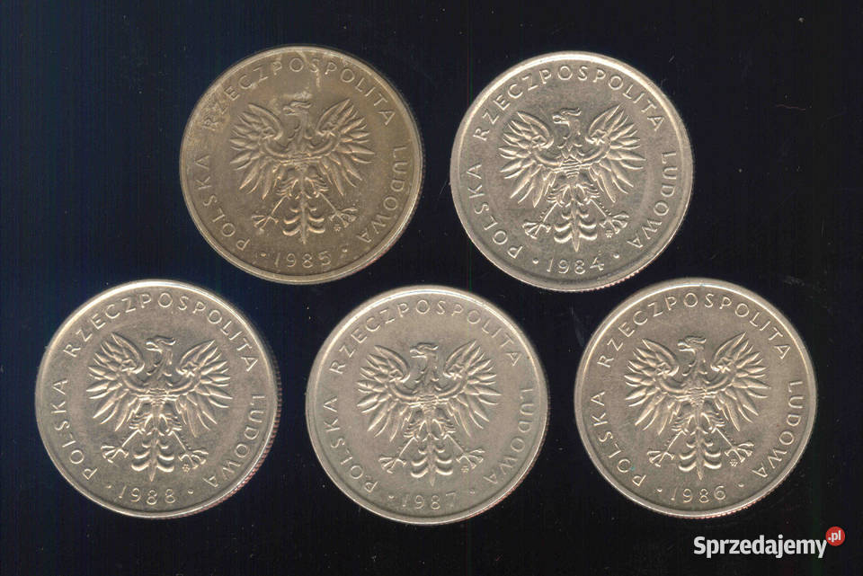 Polska 10 złoty 8485868788 śr250 mm Brwinów