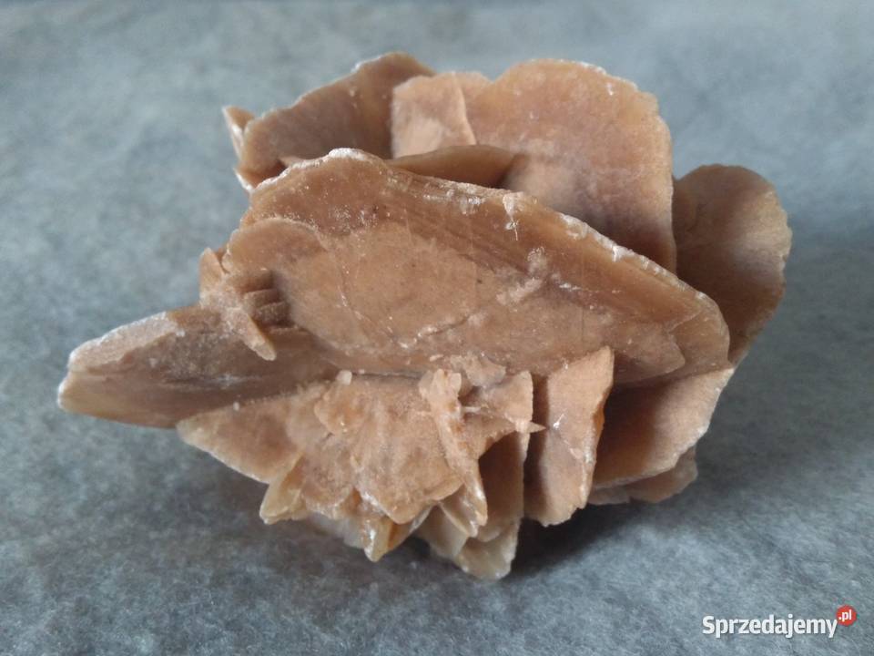 Róża Pustyni kamień ozdobny z Sahary 12 07 Warszawa