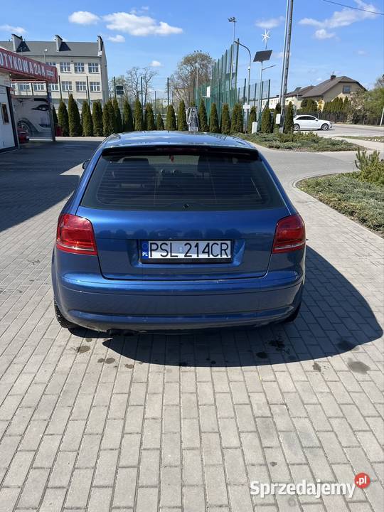 Audi A3 8p Raciąż