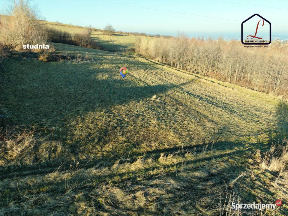 Działka rolna o pow 34 ar Grybów Siołkowa