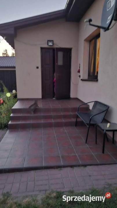 Siedlisko gospodarstwo ziemia rolna dom Piskorczyn