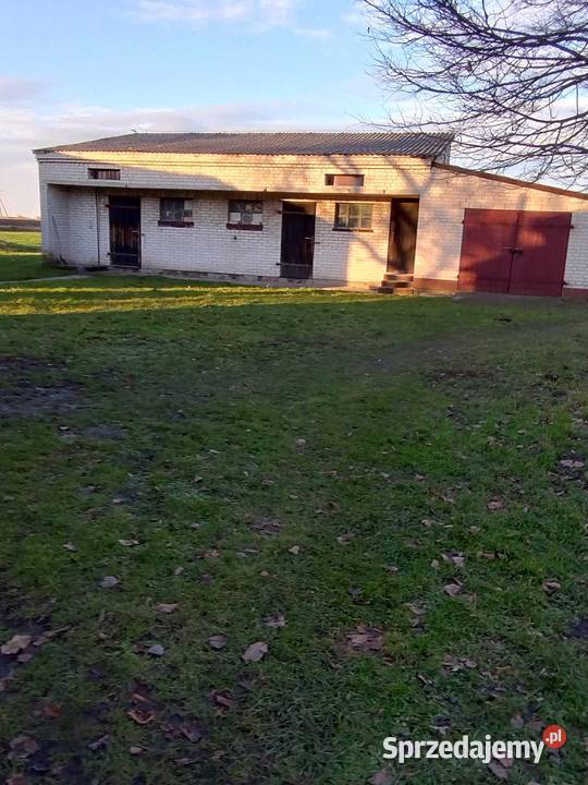 Sprzedam Działkę Rolną z Budynkami Sprzedaż Poturzyn