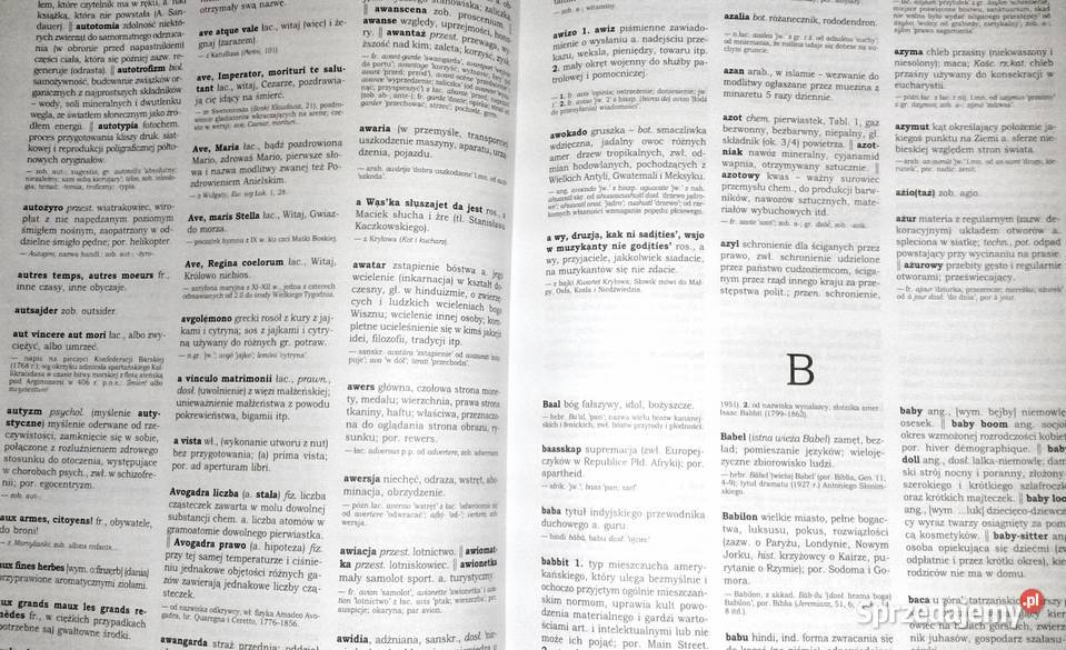 Słownik wyrazów obcych z almanachem Władysław twarda Chełm