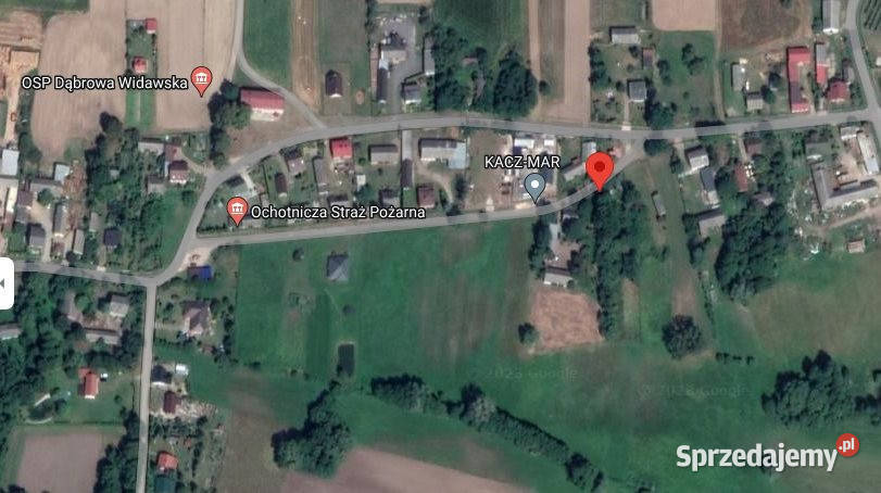 sprzedaży działki Dąbrowa Widawska 2500m2 Sprzedaż łódzkie