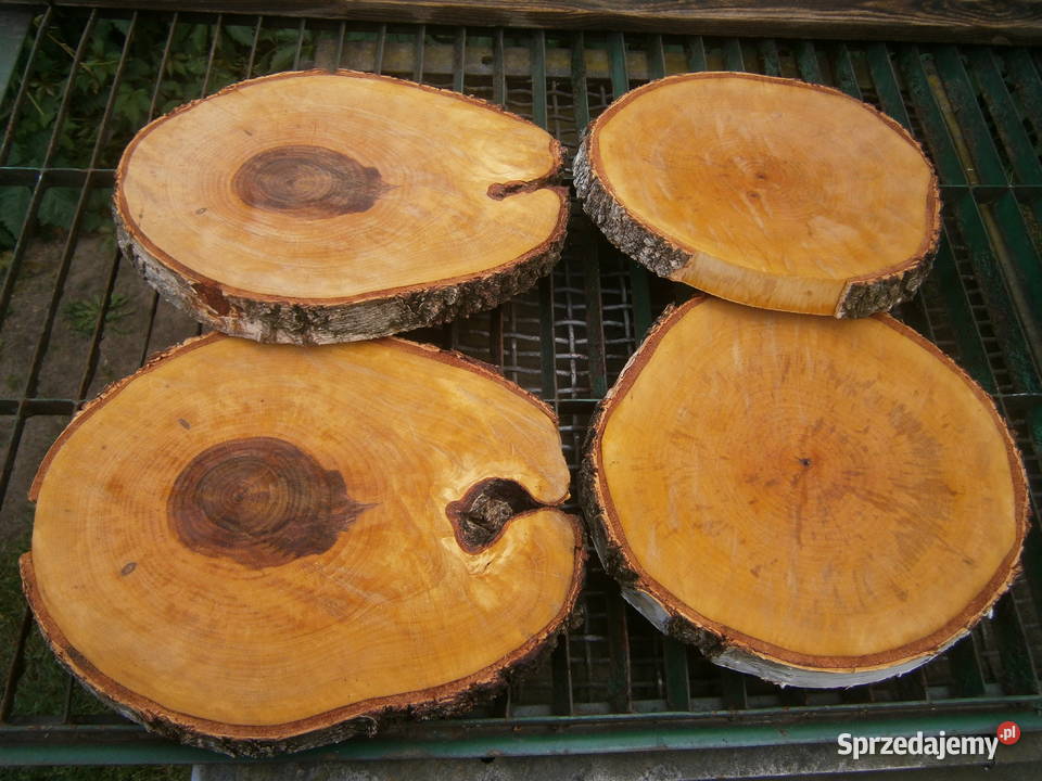 naturalna tacapatera z plastra brzozy WKLĘSŁA Siedlce sprzedam