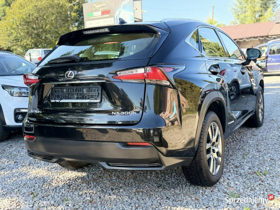 Lexus NX NX300h 25 hybryda navi kamera skóra I hybryda Łodygowice