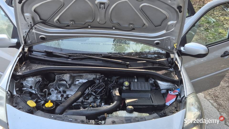 RENAULT CLIO III 12B OPŁACONY Z NIEMIEC KLIMA autoalarm Końskie