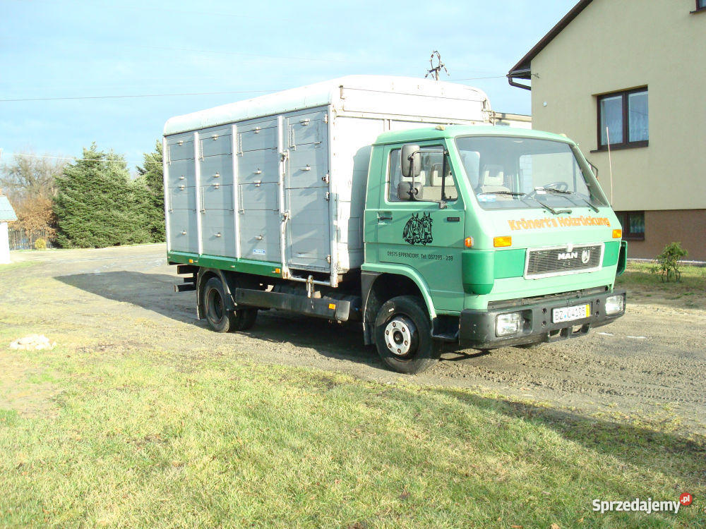 MAN 8100 DO PRZEWOZU ZWIERZĄT VIEHTRANSPORTER nieuszkodzony Kolbuszowa