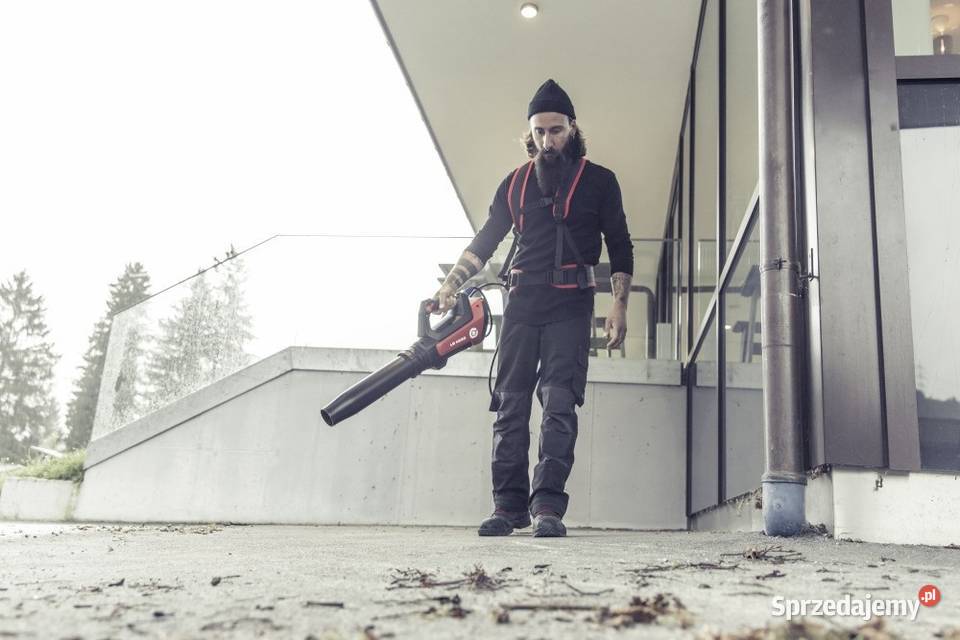 Dmuchawa ALKO LB 4250 podkarpackie Tajęcina sprzedam