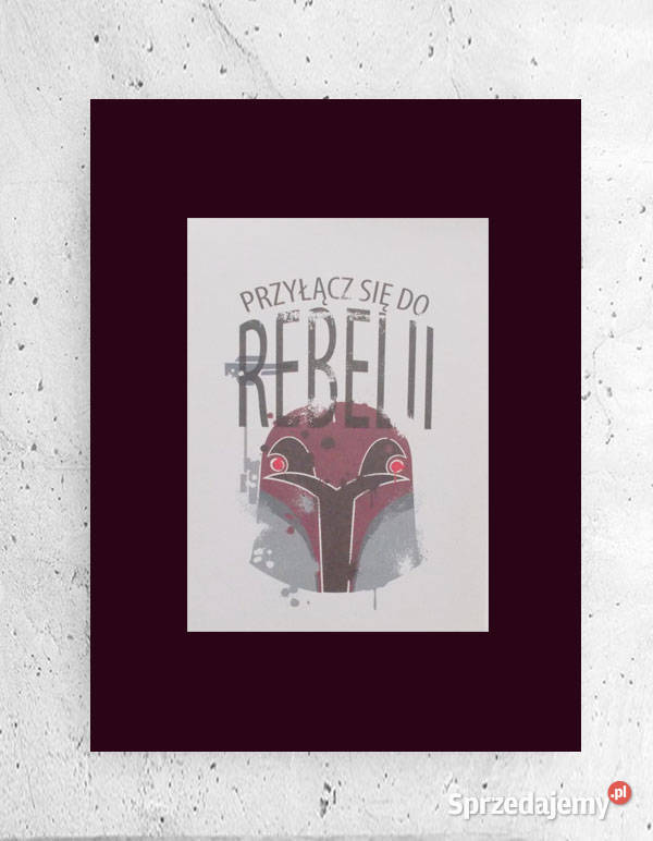 rebelia star wars plakat 21x30 obrazek z Białystok