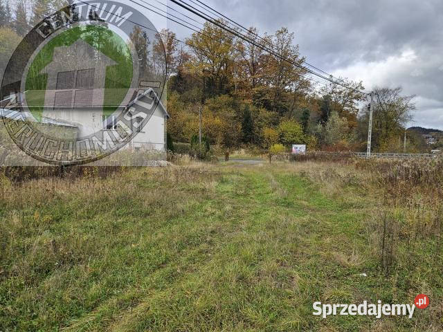 Dom wolnostojący Nowy Sącz 260m2 260m2 małopolskie