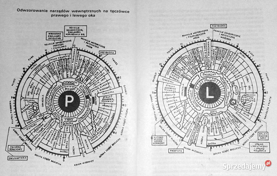 medycyny Barbara Hill Chełm