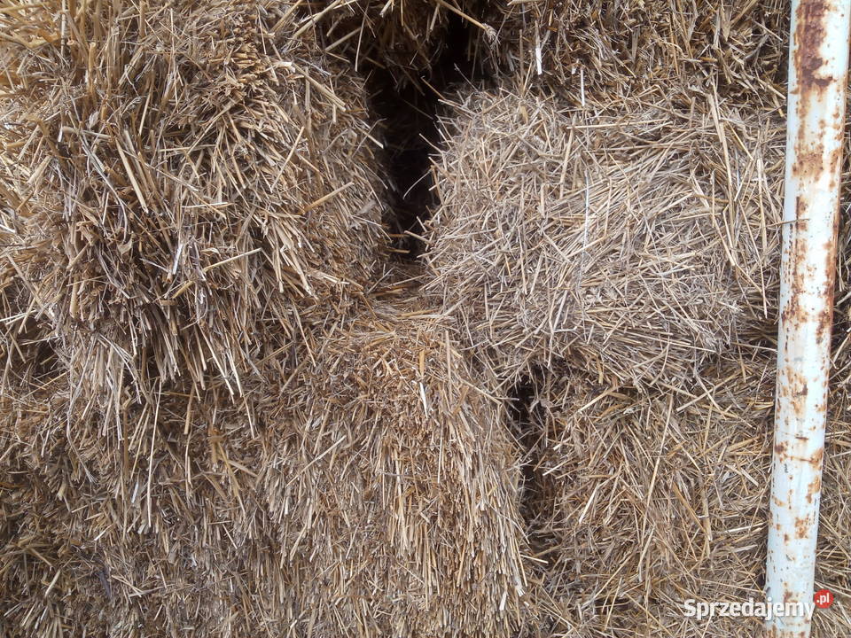 Sprzedam słomę w kostkach Lublin