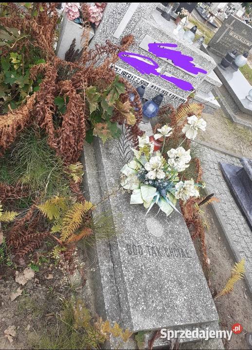 Sprzątanie grobów mycie pomników kujawsko-pomorskie Bydgoszcz sprzedam