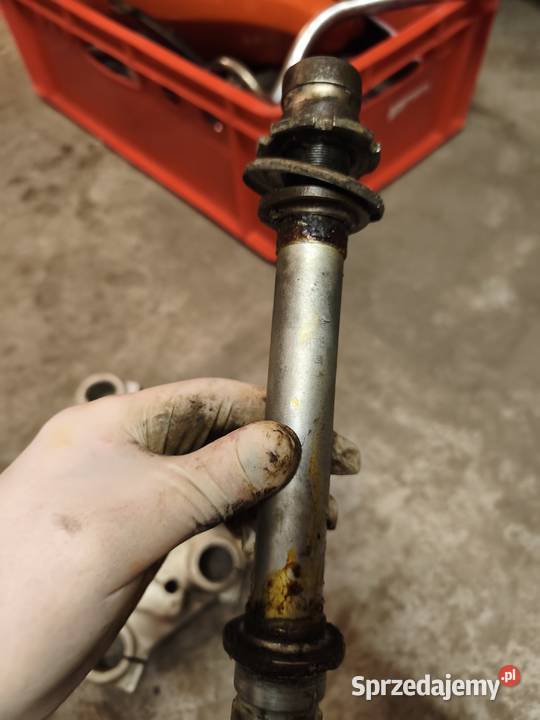 Półki WSK lelek sport mazowieckie Tłuszcz