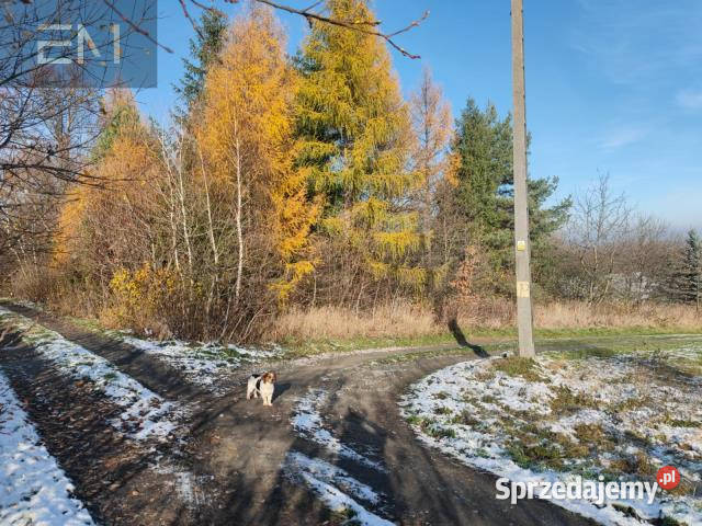 sprzedaży gruntu 6000m2 Babica