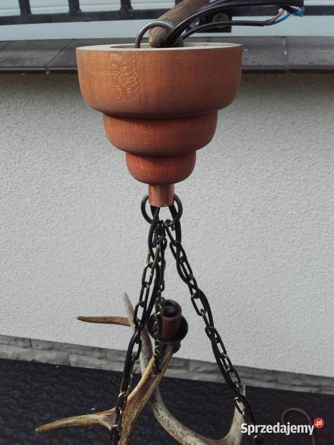 Piękny żyrandol z poroża Jelenia Oświetlenie Gniezno