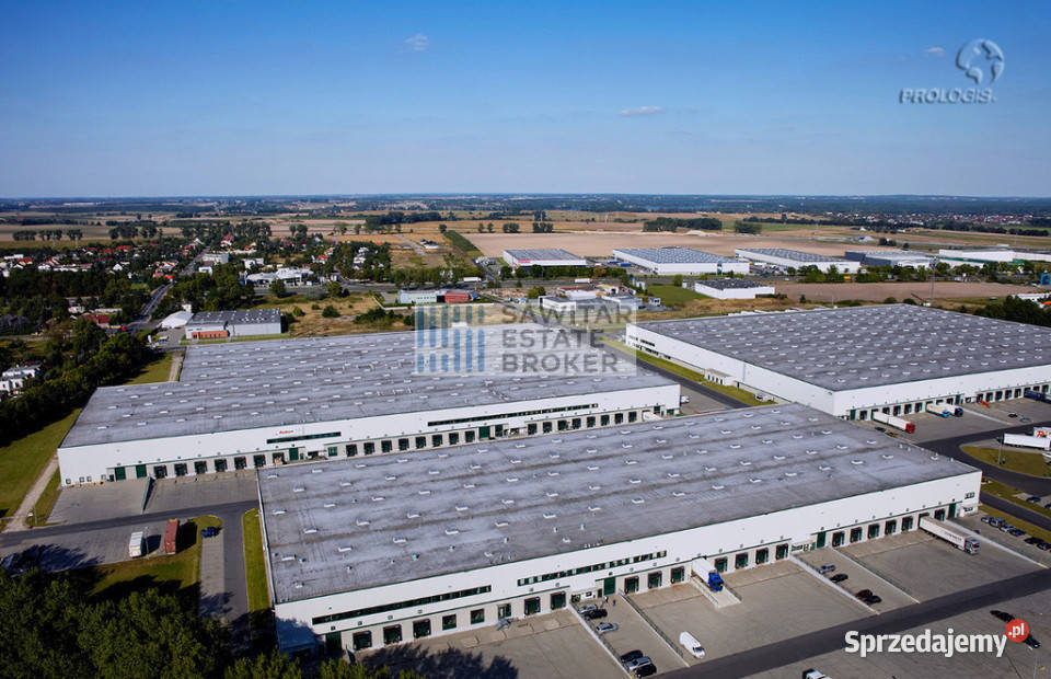 Hala klasy A 2612m2320m2 biursocjalbez prowizji Sady sprzedam