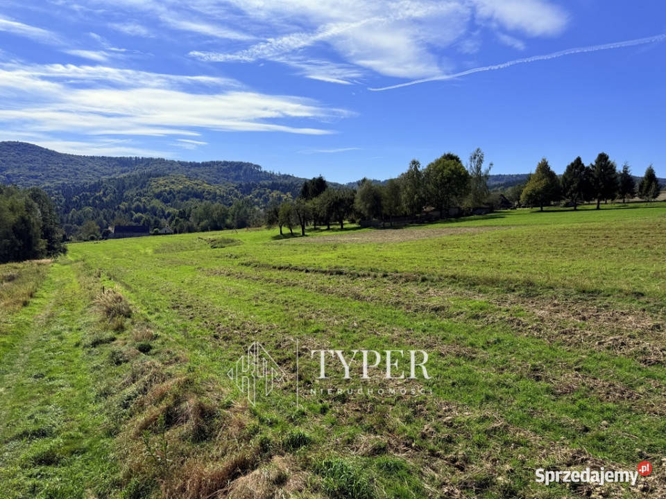 Działka Ryglice 77 arów asfalt