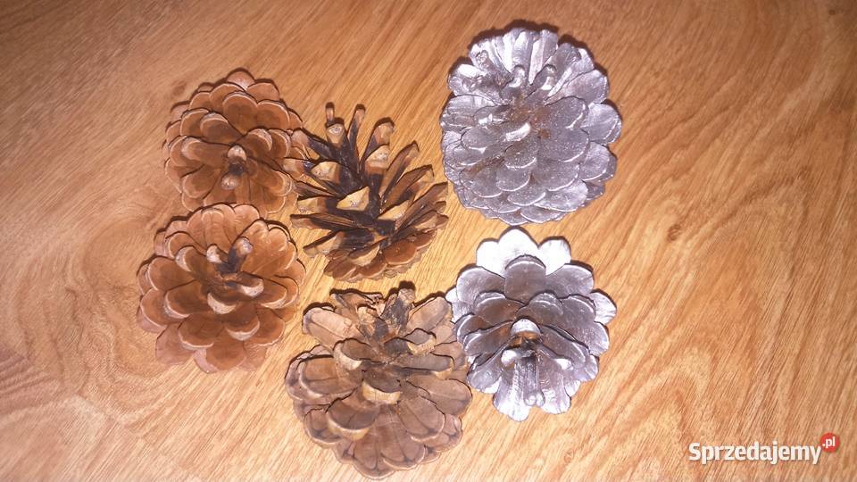 Piękne naturalne szyszki na choinkę na ozdoby Lublin