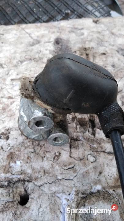 Polonez Borewicz Caro korektor sil hamowania Części