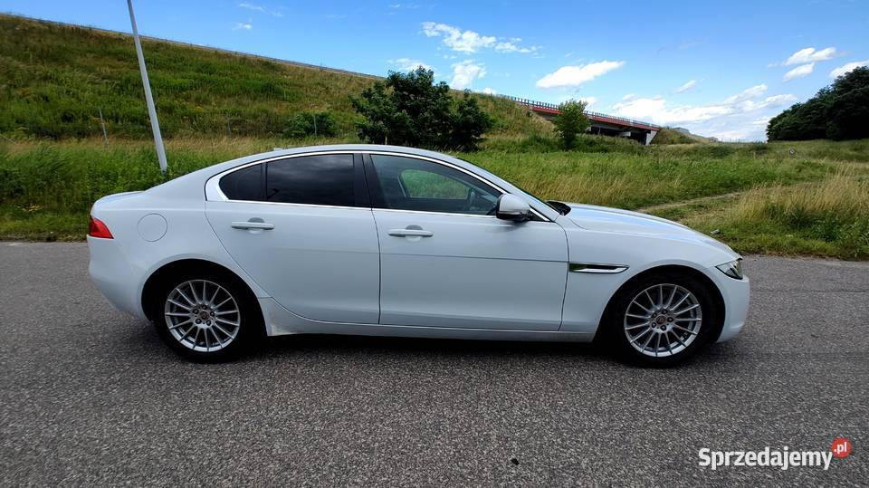 Jaguar XE 2014 Sedan 20 TD Navi Skóra Bi Ksenon śląskie Bytom sprzedam