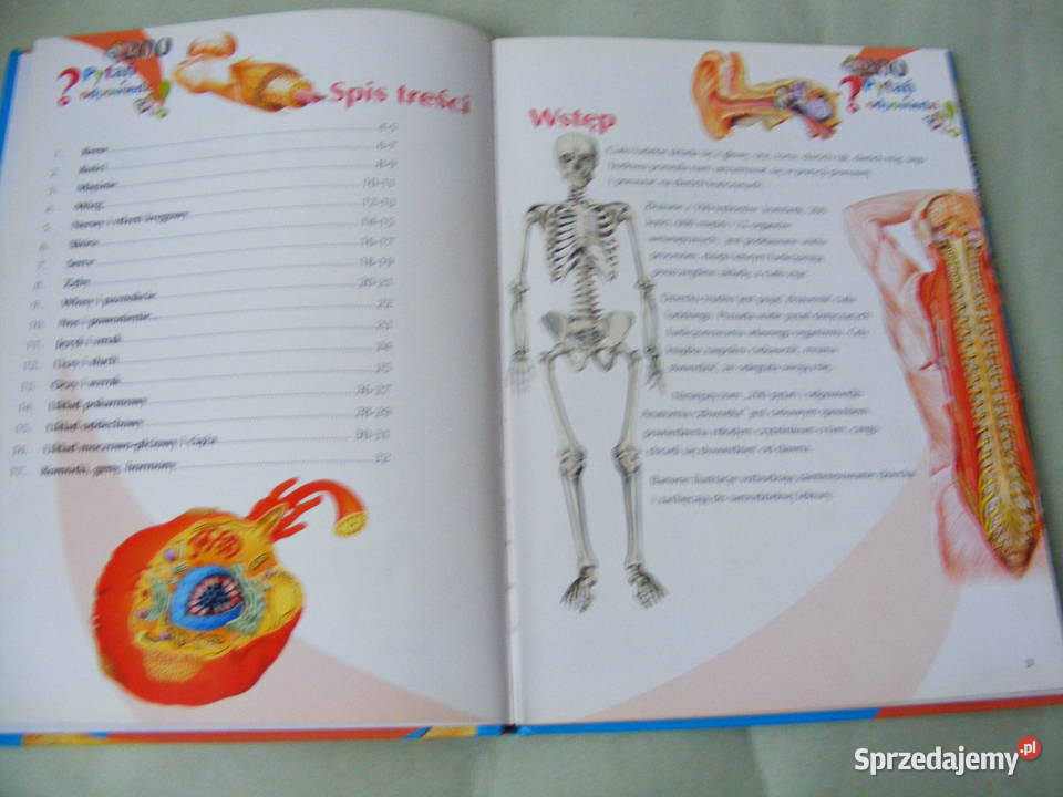 100 najsławniejszych piłkarzy Polska dzieci 200 twarda Oborniki Śląskie