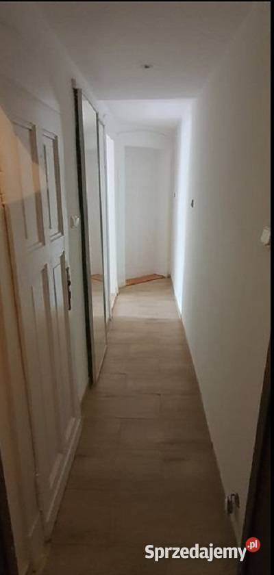 2pok 50met Mickiewicza ROZKŁADPIWNICA Legnica 50m2