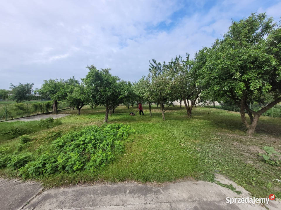 Sprzedam działki pobliże zabudowy mieszkaniowej 3946m2 Koszanowo
