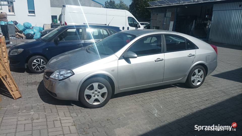 Nissan Primera 2003r Motoryzacja opolskie Opole sprzedam