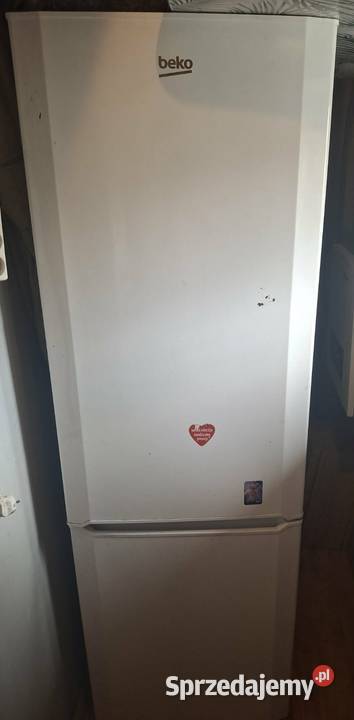 Sprzedam lodówke beko wolnostojące Wierzchosławice sprzedam