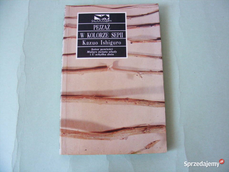 Zgliszcza Harrison Pejzaż w kolorze sepii Oborniki Śląskie