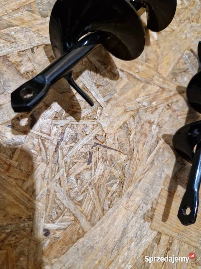 ŚWIDER OGRODOWY WIERTNICA GLEBOWA WIERTŁO ZIEMI Głogowa