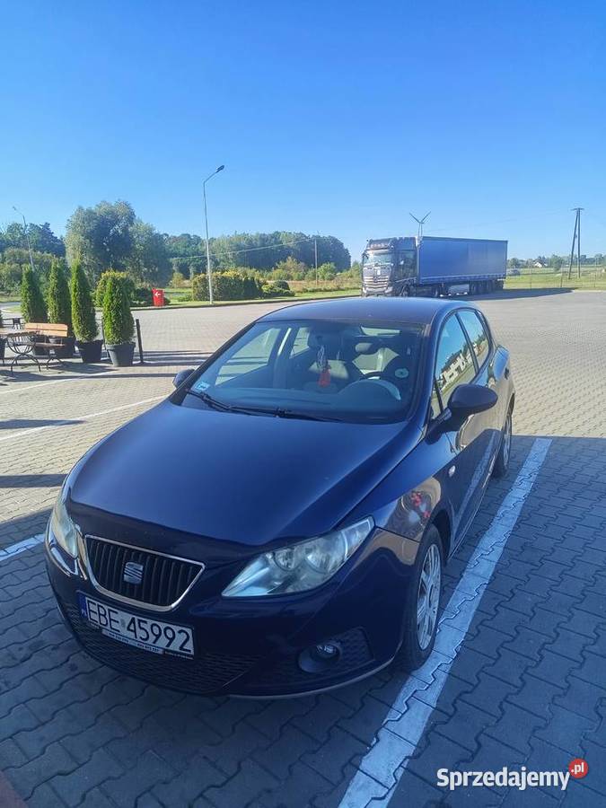 Seat Ibiza 19 Tdi 2008 Rusiec