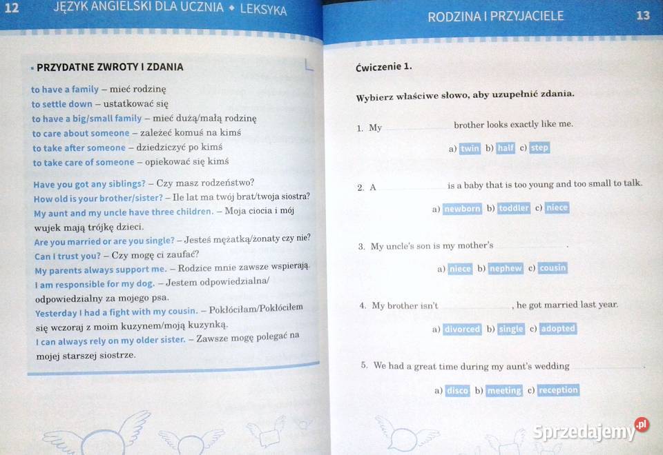 Język angielski ucznia Leksyka Joanna Chełm